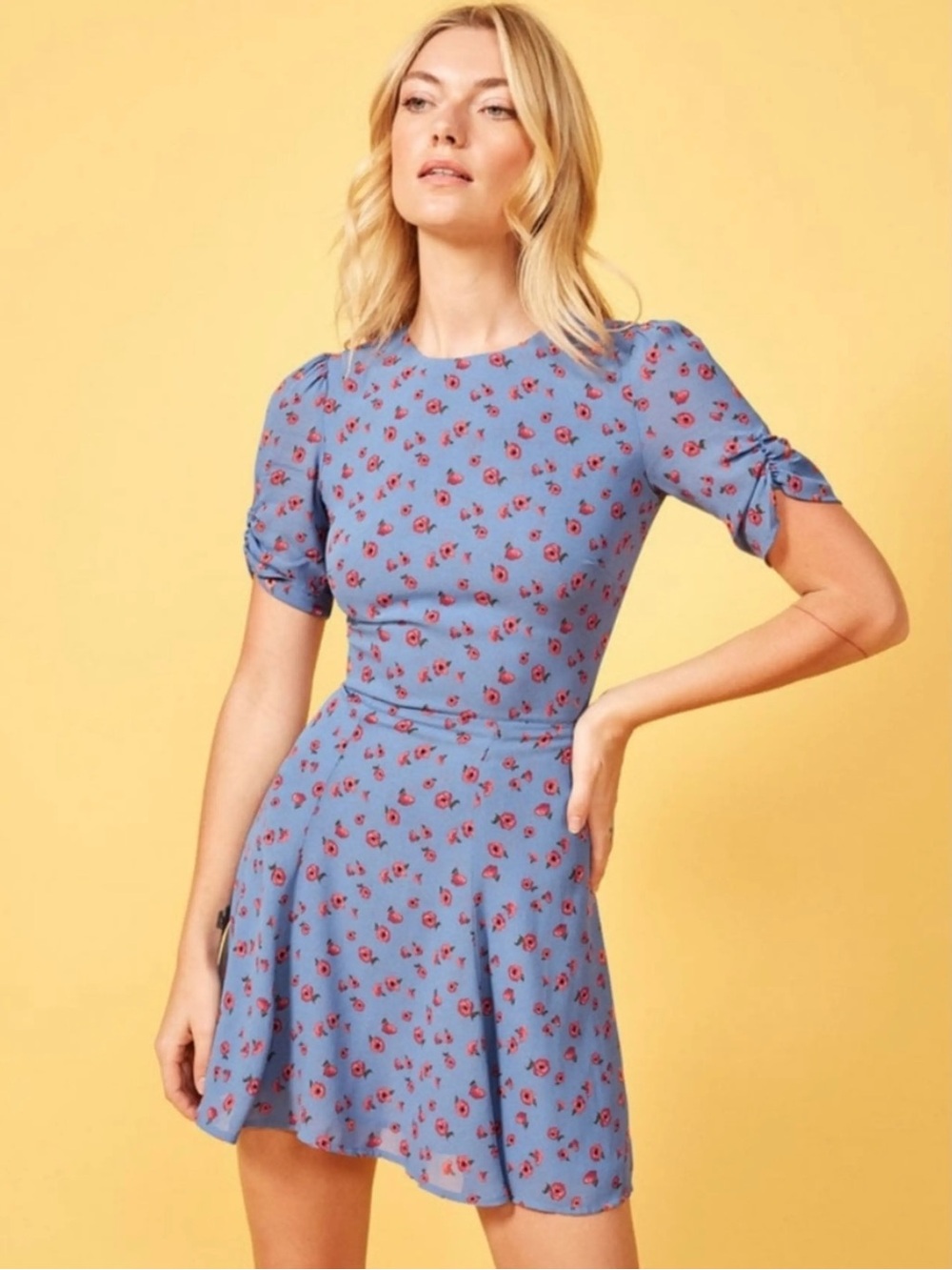 Reformation Gracie short sleeve floral mini in lulu blue red - 2 NWT